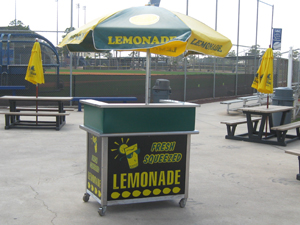 2011 Used emomade Cart