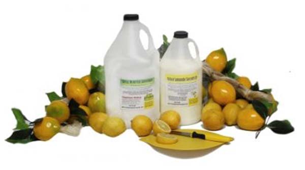 Lauren's Natural Lemonade Mix ( choose Size )