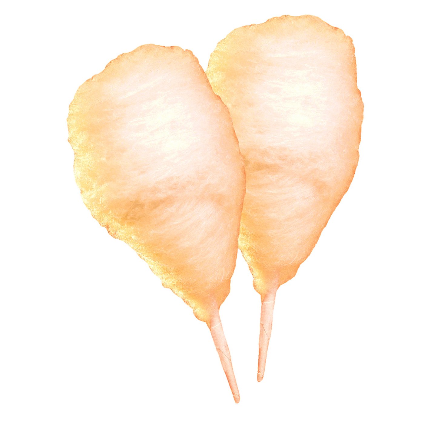 Fall Spice Cotton Candy Flossugar