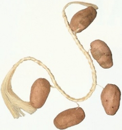 Potato Rope